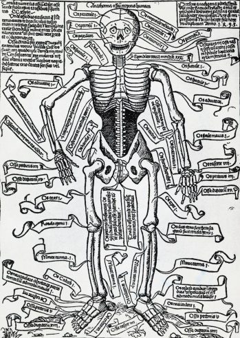 Historia de las Ciencias de la Salud, Anatomía y Fisiología humanas –  Edupress